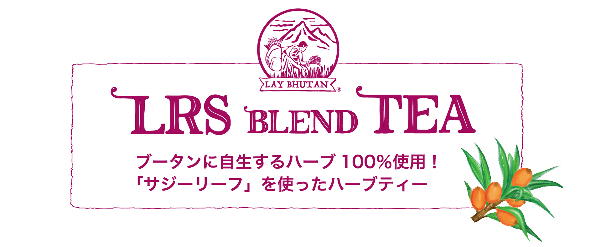 ブータンに自生するハーブ100％使用！「サジーリーフ」を使ったハーブティー