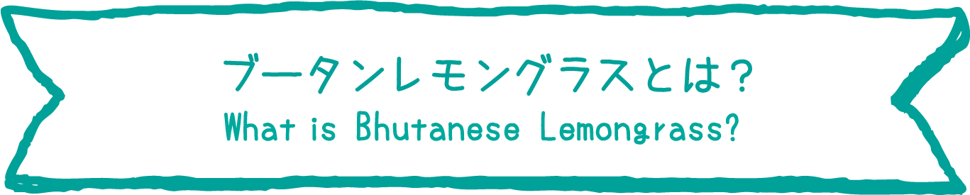 ブータンレモングラスとは？