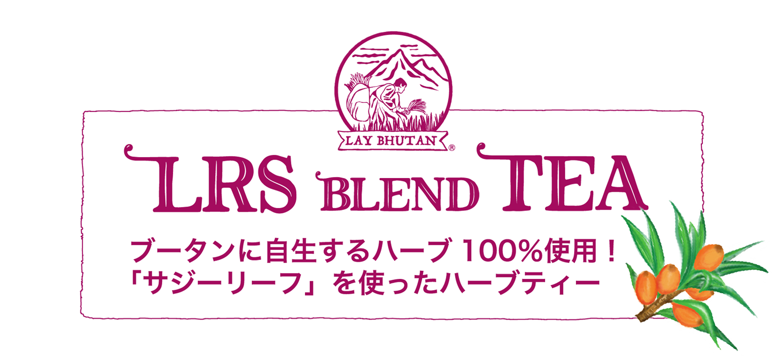 ブータンに自生するハーブ100％使用！「サジーリーフ」を使ったハーブティー